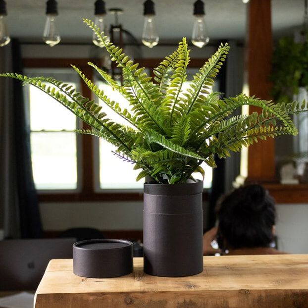 Unless otherwise specified, ashes are returned in pressed paper urns. They last a lifetime on a shelf, or will biodegrade if buried. Price: $0